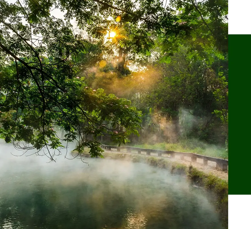 A river with trees and water in the background.